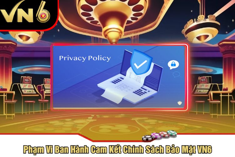 Phạm Vi Ban Hành Cam Kết Chính Sách Bảo Mật VN6